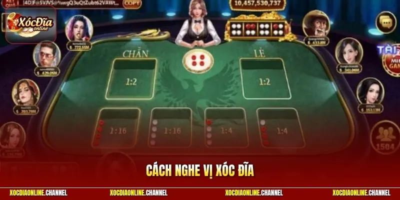 Cách Nghe Vị Xóc Đĩa