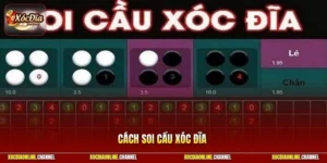 Cách Soi Cầu Xóc Đĩa