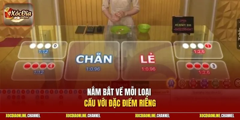 Nắm bắt về mỗi loại cầu với đặc điểm riêng