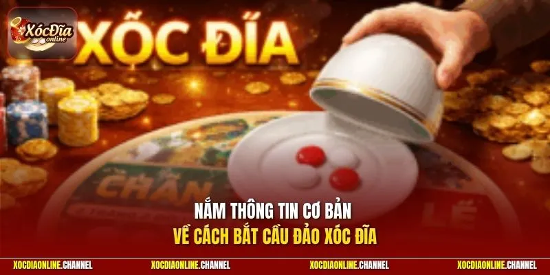 Nắm thông tin cơ bản về cách bắt cầu đảo xóc đĩa