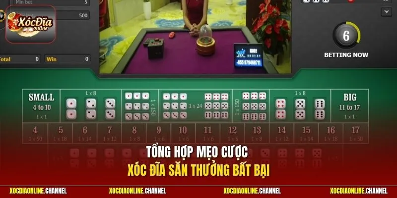 Tổng hợp mẹo cược xóc đĩa săn thưởng bất bại