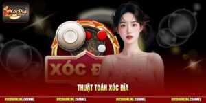 Thuật Toán Xóc Đĩa - Công Cụ Hỗ Trợ Dự Đoán Kết Quả Chuẩn